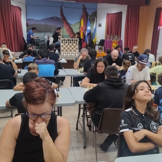 Torneo 960 Ébano 2025